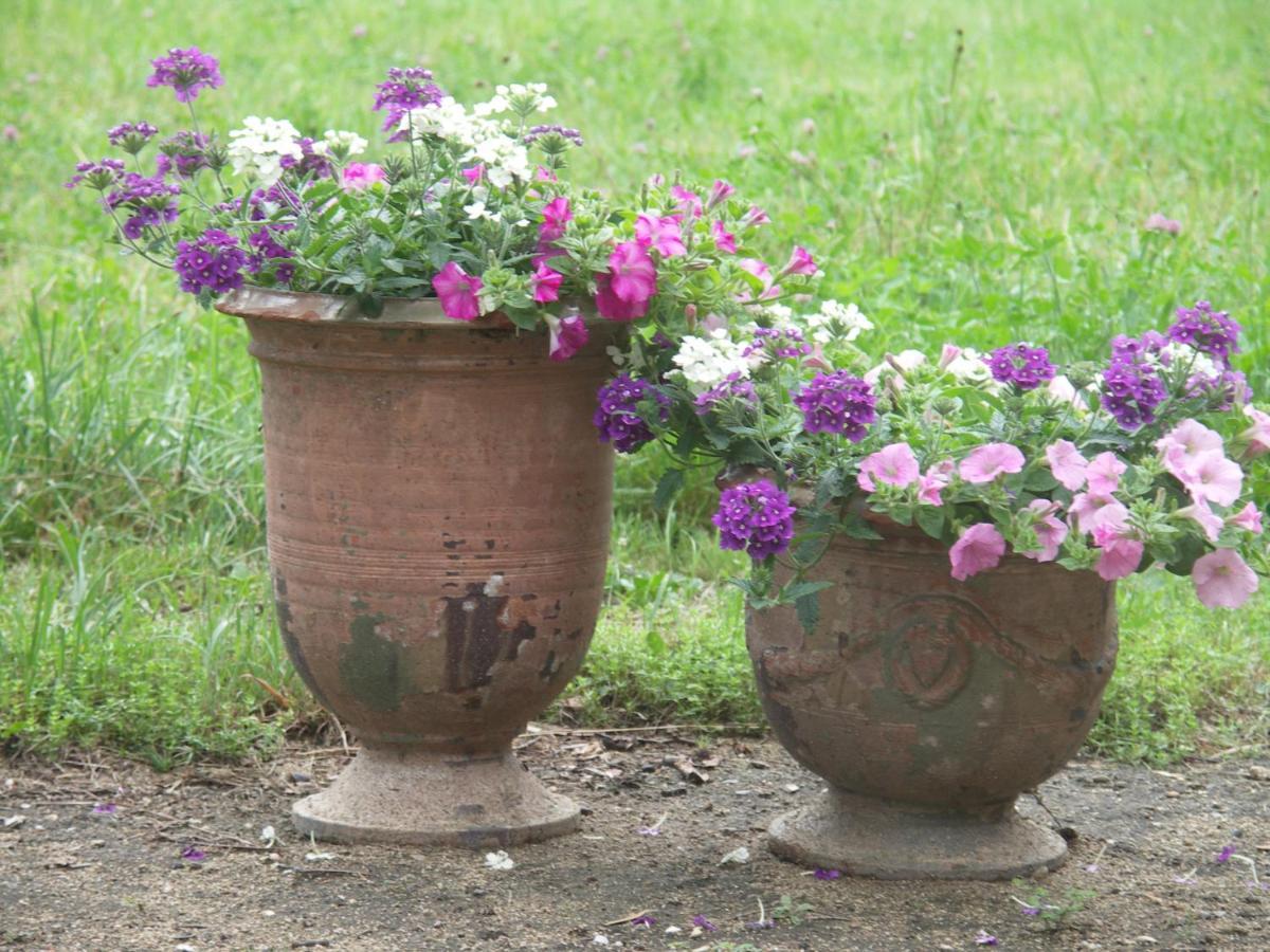 Domaine Du Peyron Bed & Breakfast