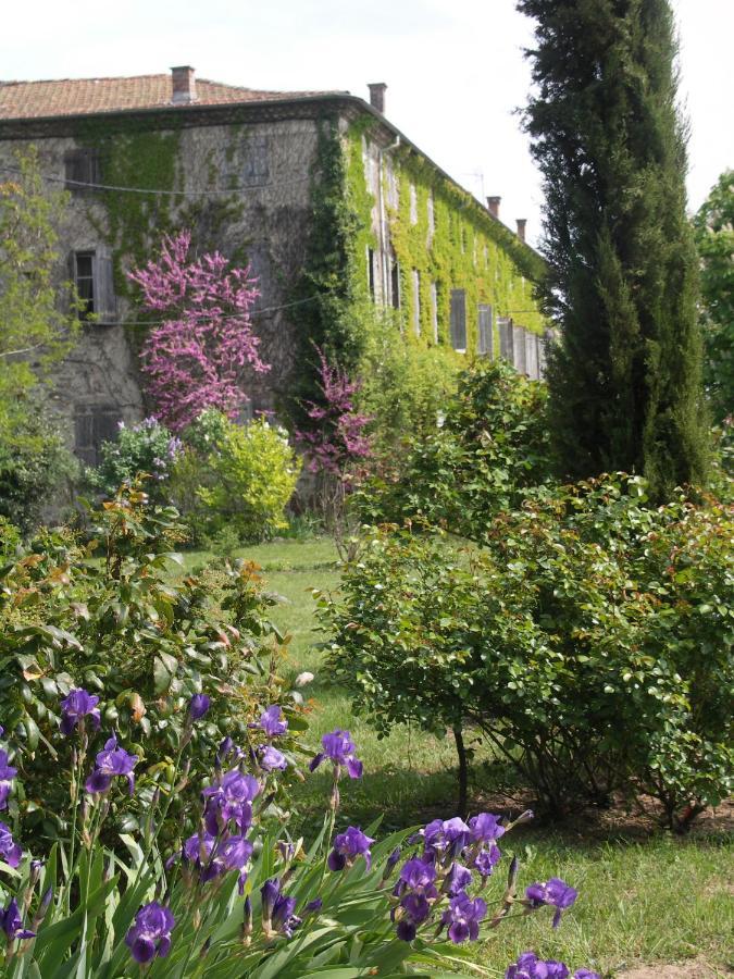 Domaine Du Peyron