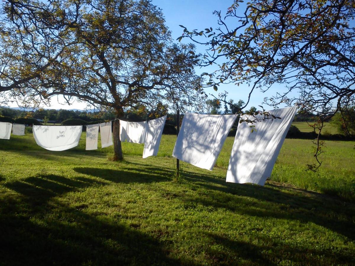 Domaine Du Peyron *